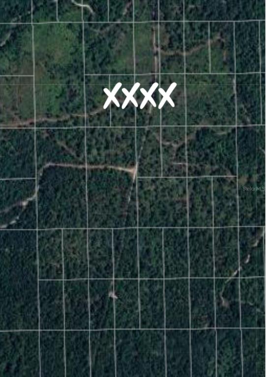 An aerial map view shows a grid of undeveloped, wooded land parcels marked with an X — NO NAME, DELAND, FL