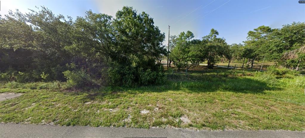 A grassy, wooded vacant lot sits along a paved road under a clear blue sky — 20901 STATE ROAD 60 E, LAKE WALES, FL