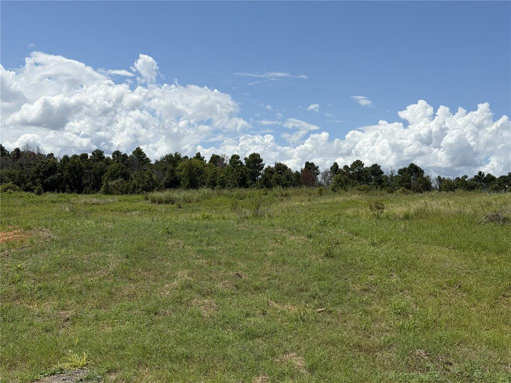 A wide, grassy field stretches toward a dense line of trees under a cloudy sky — 16813 BOLSENA DRIVE, BELLA COLLINA, FL