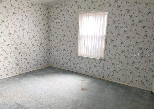 An empty bedroom features floral wallpaper, blue carpeting, and a window with vertical blinds — 37643 LANDIS AVENUE, ZEPHYRHILLS, FL