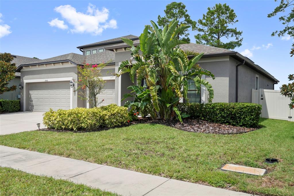 A single-story house with a gray exterior, a two-car garage, and a large tropical plant — 18565 OBREGAN DRIVE, SPRING HILL, FL