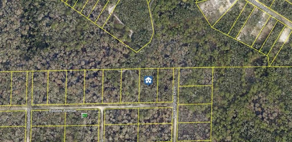 This is an aerial map showing a vacant, wooded lot marked with a house icon — ROSE BLOOM AVENUE, WEBSTER, FL