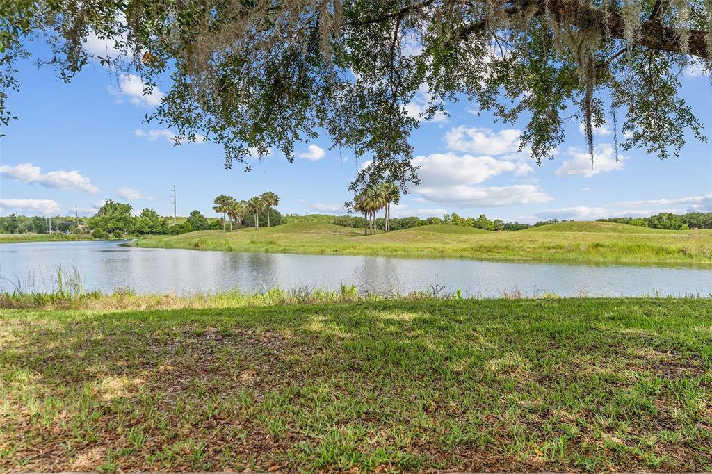 A view of a grassy lawn overlooking a pond with rolling hills and palm trees — 3523 CLAY BRICK RD, ST CLOUD, FL