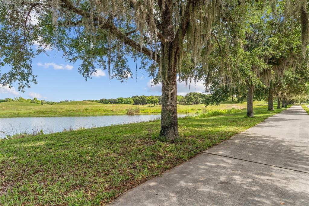 A concrete path runs alongside a pond and large trees draped in Spanish moss — 3523 CLAY BRICK RD, ST CLOUD, FL