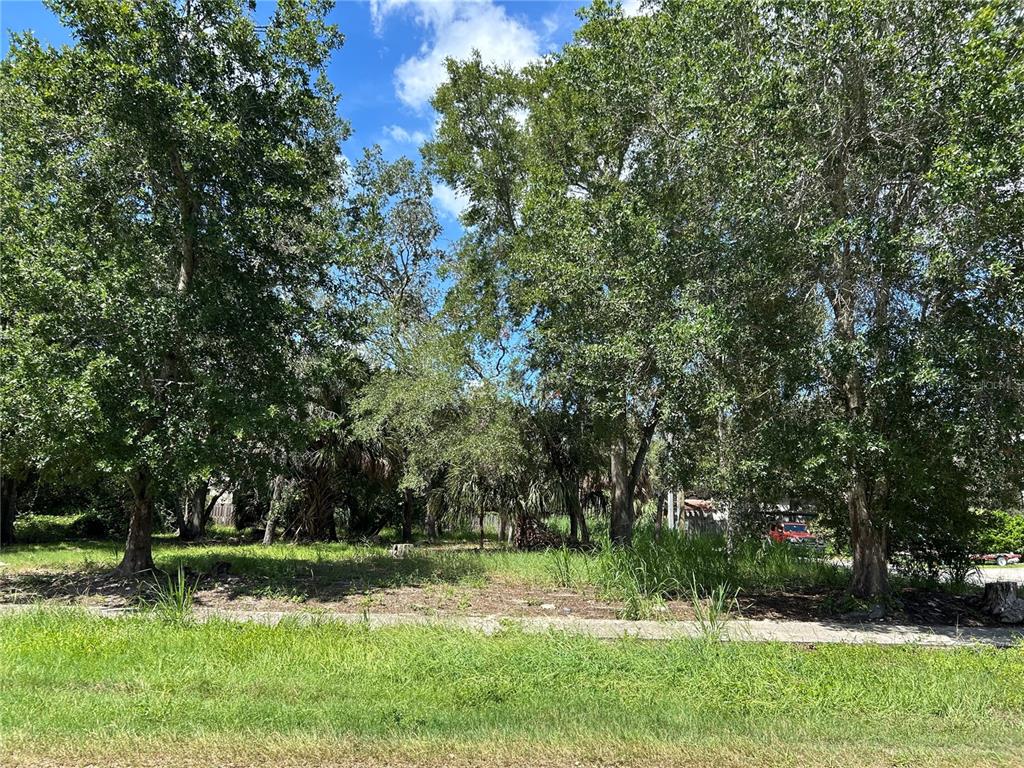 VENTNOR AVENUE, TARPON SPRINGS, FL — photo 2 of 4