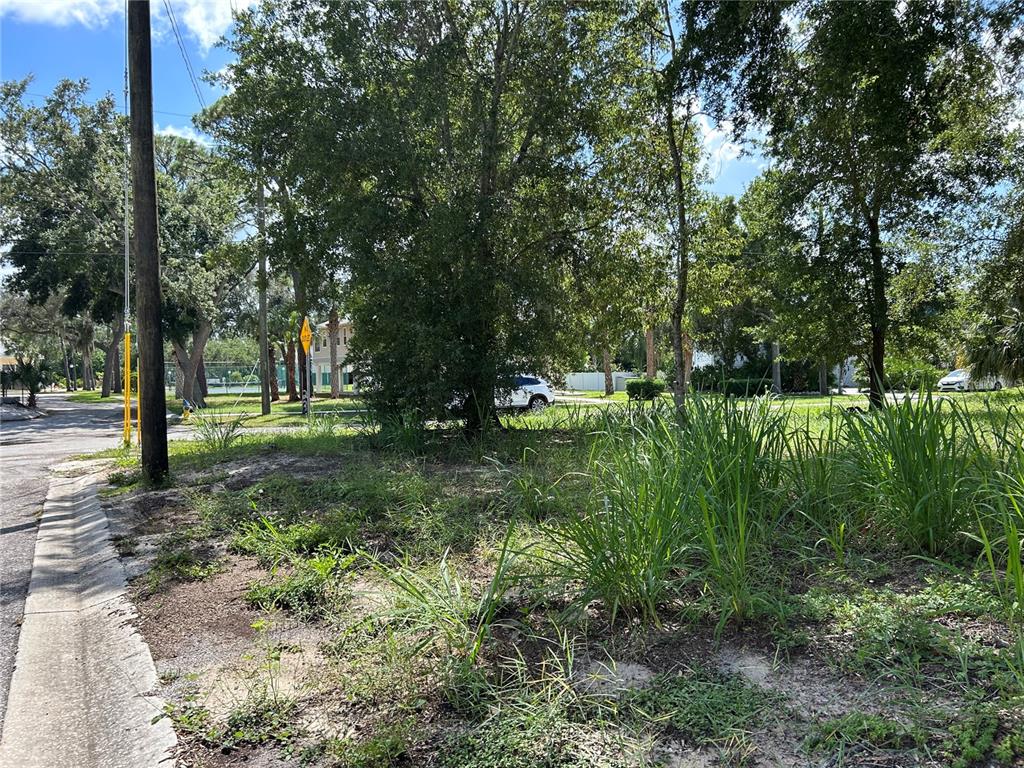 VENTNOR AVENUE, TARPON SPRINGS, FL — photo 3 of 4