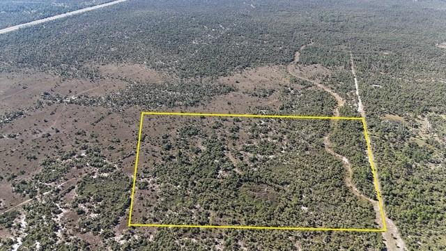 An aerial view shows a rectangular plot of land outlined in yellow amidst wooded terrain — NA, NAPLES, FL