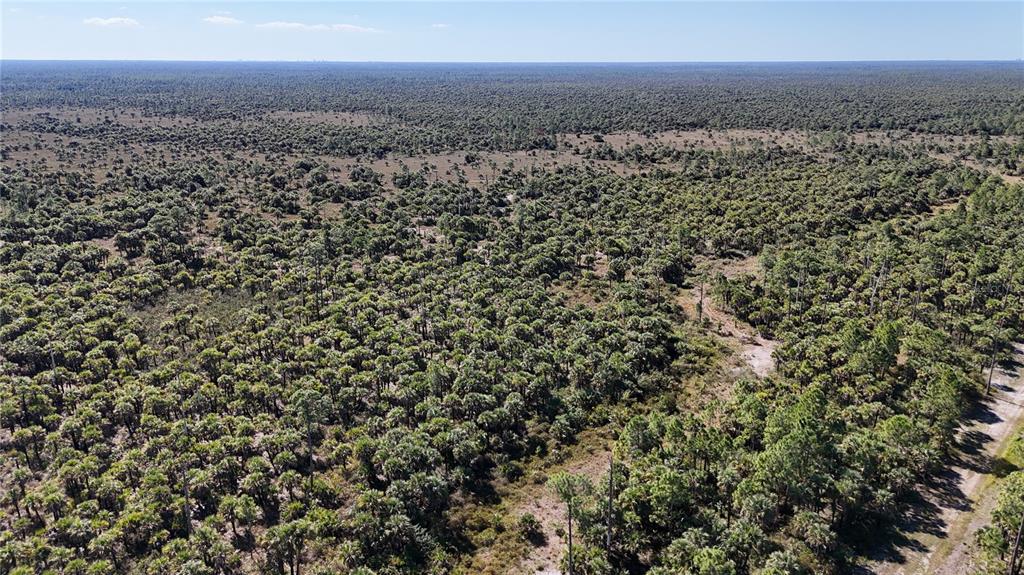 An aerial view shows a vast, flat landscape covered with dense scrub and pine trees — NA, NAPLES, FL