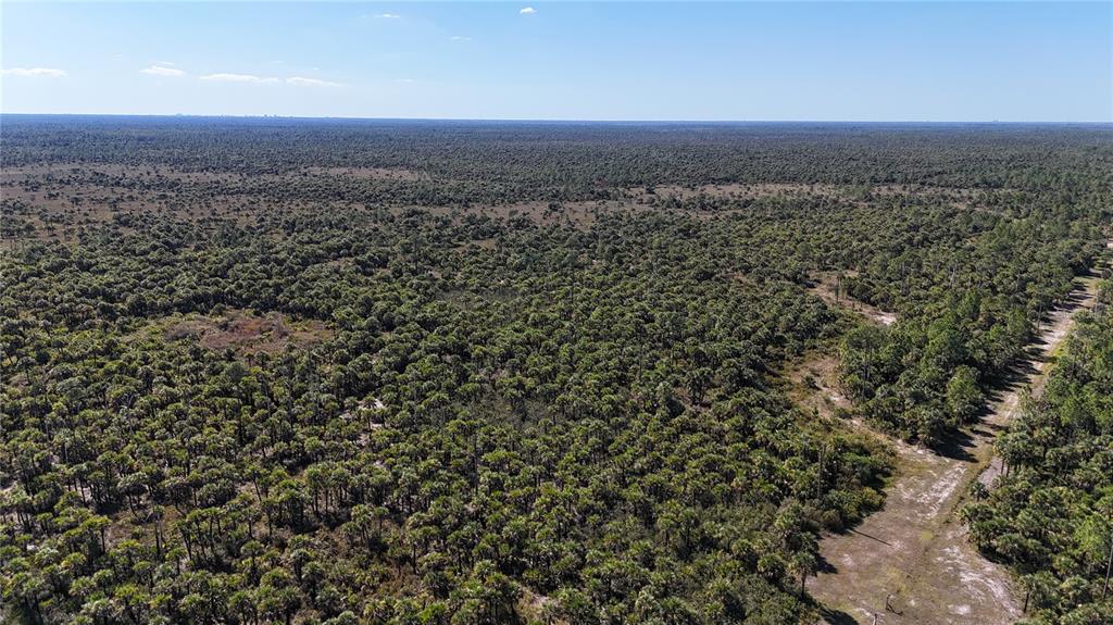 An aerial view shows a vast, flat landscape covered in dense scrub and palm trees — NA, NAPLES, FL