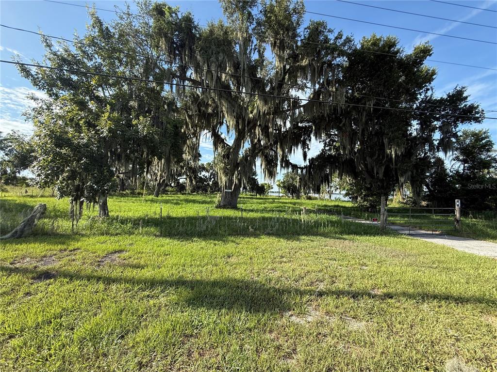 A grassy, fenced lot features large, moss-draped oak trees under a clear blue sky — US HIGHWAY 17/92 W, HAINES CITY, FL