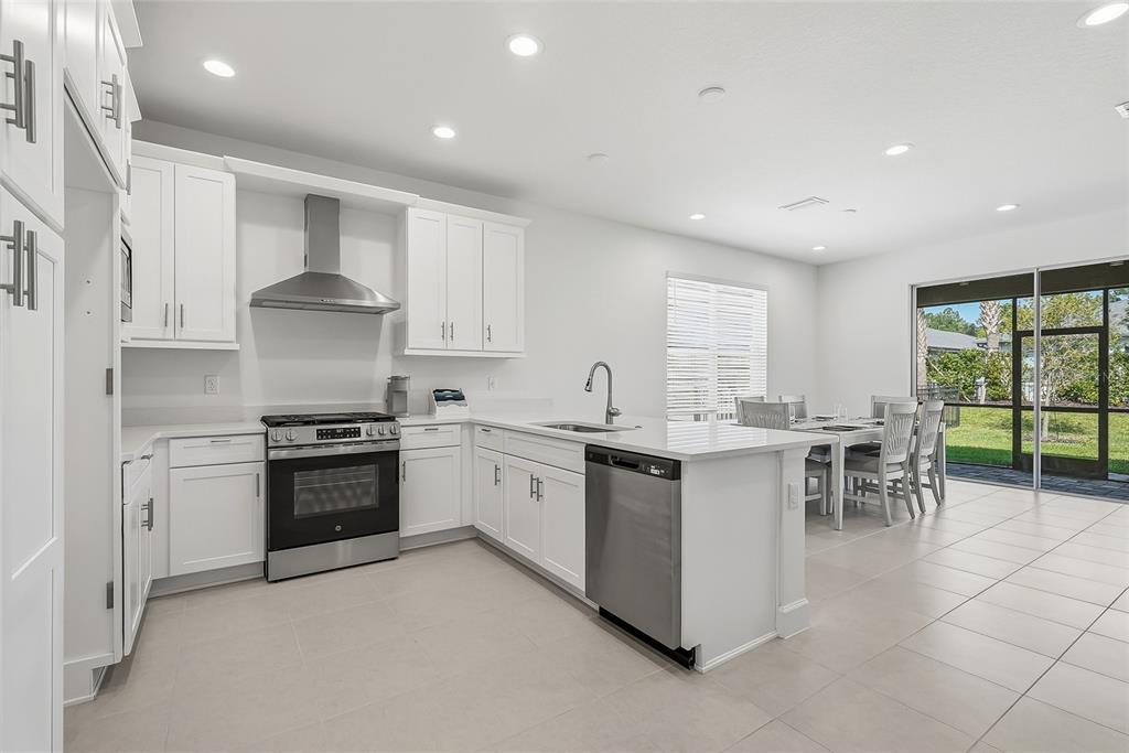 32565 VENETO PLACE, WESLEY CHAPEL, FL — photo 3 of 30