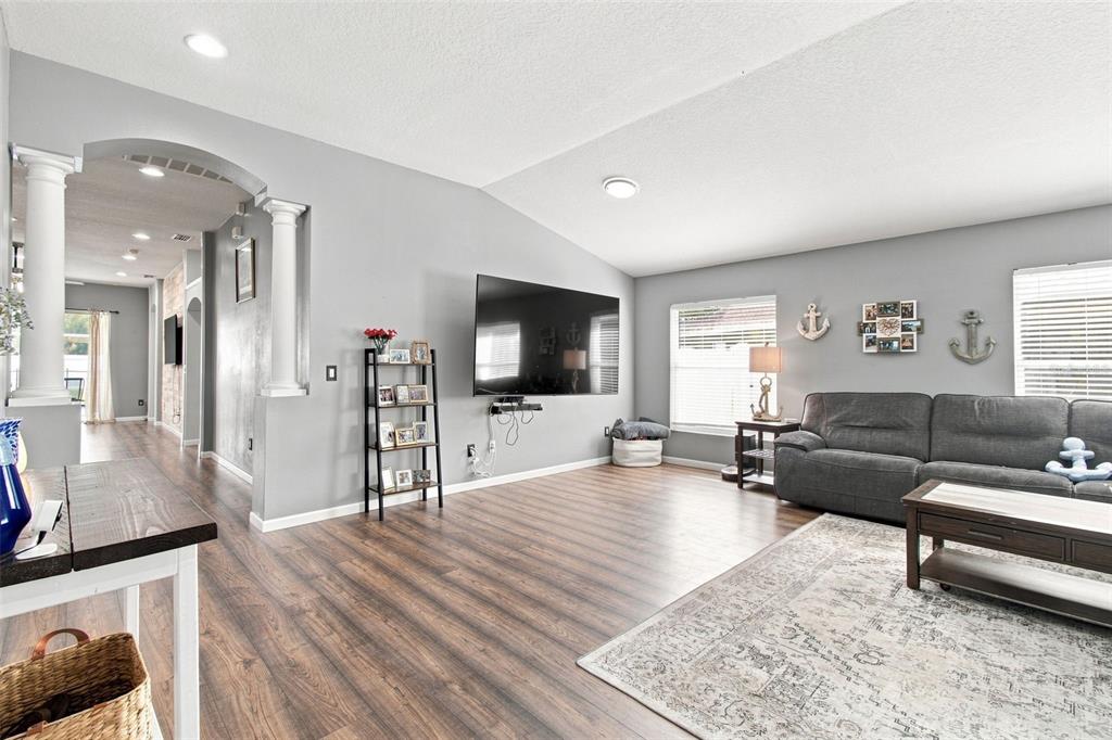 A living room features gray walls, wood-look flooring, a large television, and a gray sofa — 9710 WHITE BARN WAY, RIVERVIEW, FL