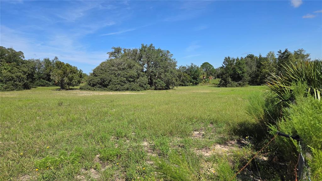 6360 S GEORGIAN ROAD, HOMOSASSA, FL — photo 3 of 7