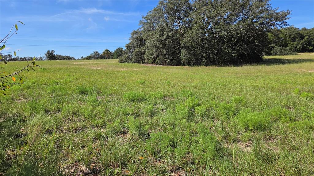 6360 S GEORGIAN ROAD, HOMOSASSA, FL — photo 5 of 7