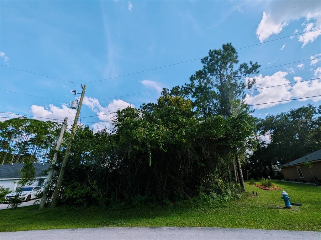 7 SECKEL CT, PALM COAST, FL — photo 5 of 15
