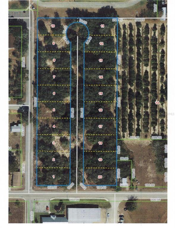 This is a plat map showing a subdivision layout with twenty numbered residential lots — 301 E CORNELL STREET, AVON PARK, FL