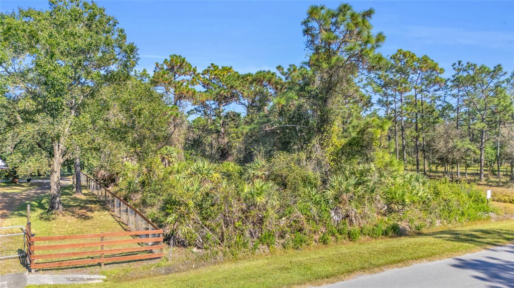 A wooded, undeveloped lot features a wooden fence and a paved road in the foreground — QUINLAN STREET, ORLANDO, FL