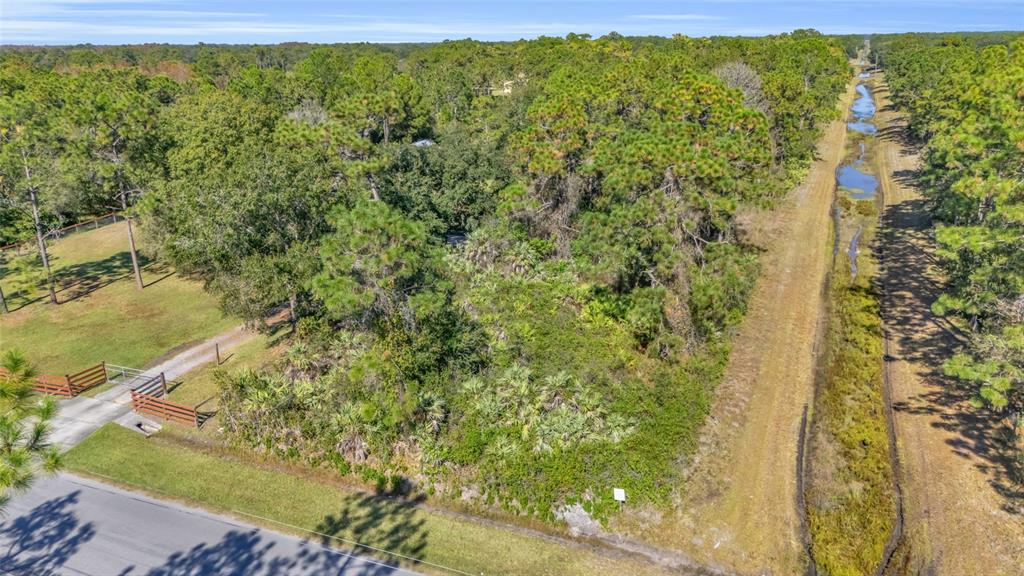 An aerial view shows a wooded lot bordered by a road, a fence, and a canal — QUINLAN STREET, ORLANDO, FL
