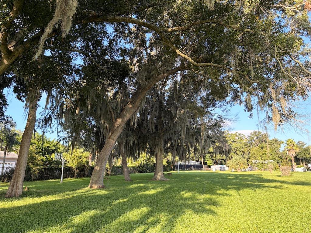 223 S ORTMAN DRIVE, ORLANDO, FL — photo 2 of 8