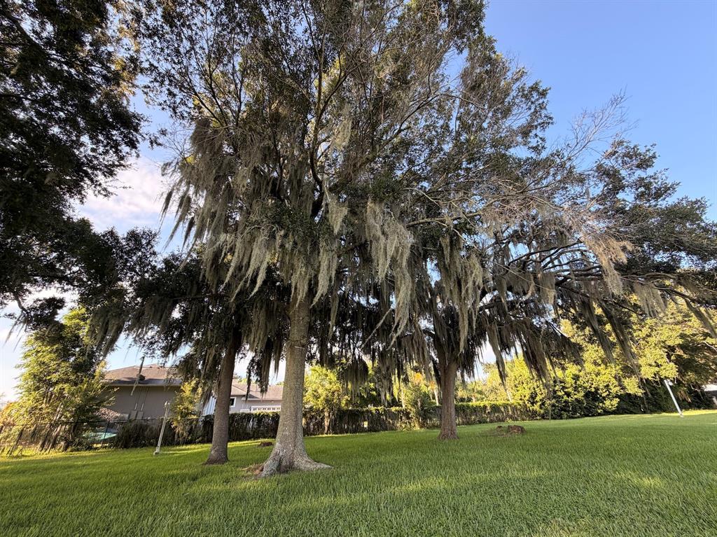 223 S ORTMAN DRIVE, ORLANDO, FL — photo 5 of 8