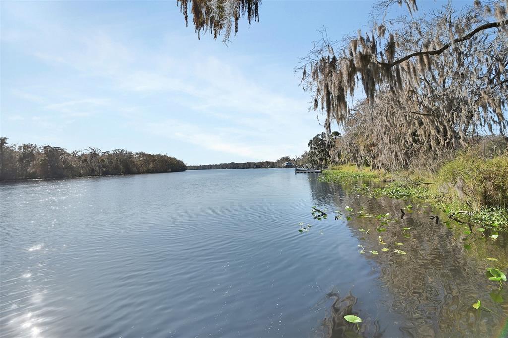 A view of a calm river lined with trees draped in Spanish moss — 55512 FRONT STREET, ASTOR, FL