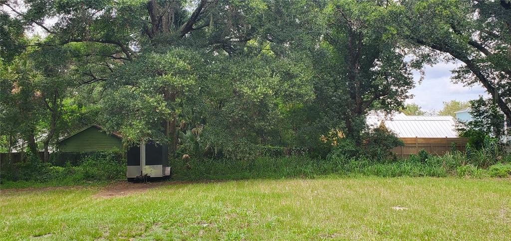 206 E PINE AVENUE, MOUNT DORA, FL — photo 2 of 5
