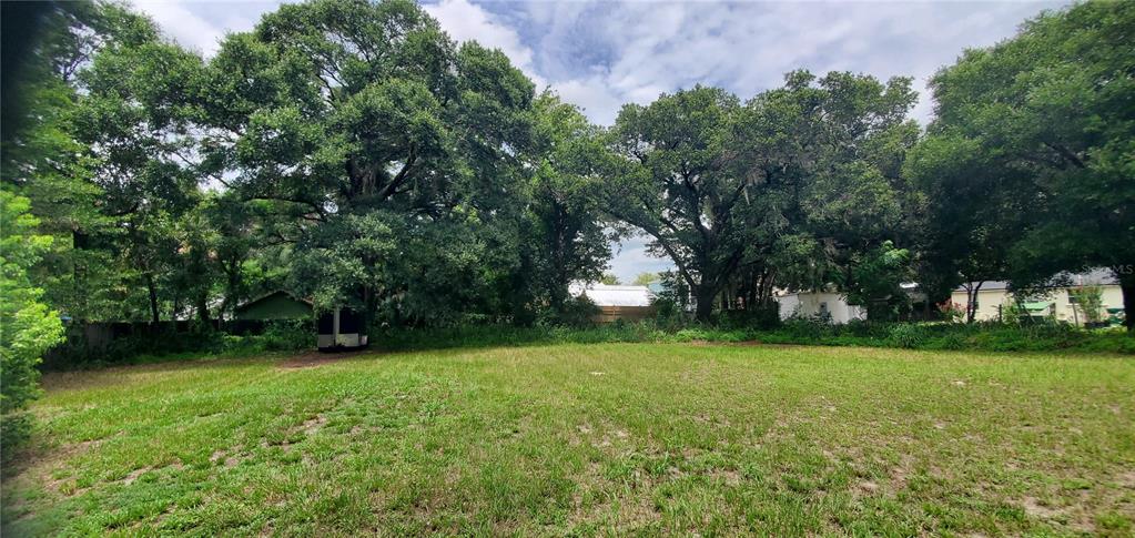 206 E PINE AVENUE, MOUNT DORA, FL — photo 3 of 5