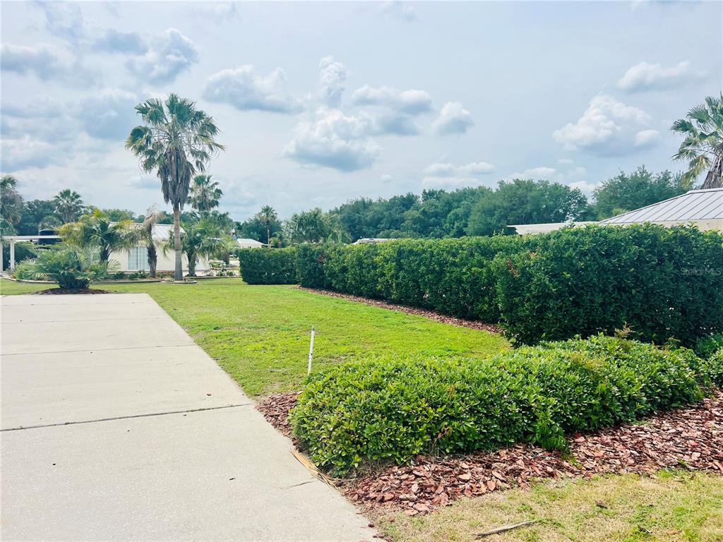 A concrete driveway leads to a grassy yard bordered by tall green hedges and palm trees — 9450 SE 47TH WAY, WEBSTER, FL