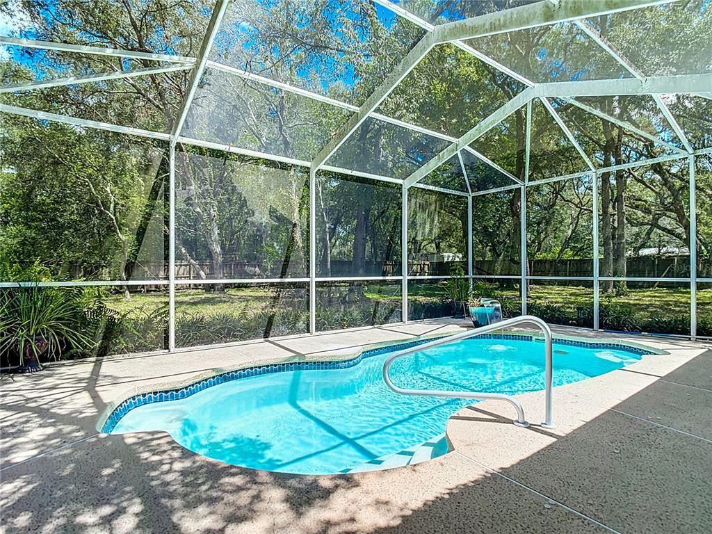 17235 CARLESIMO AVENUE, SPRING HILL, FL — photo 2 of 30