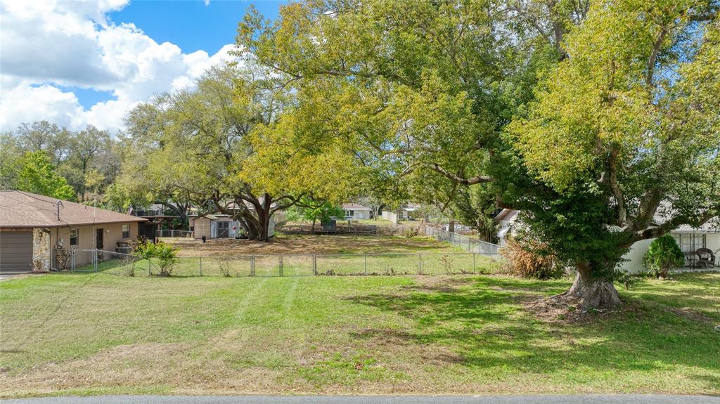 A grassy, fenced-in residential lot features several large mature trees and neighboring houses — 0 LOIS DRIVE, TAVARES, FL