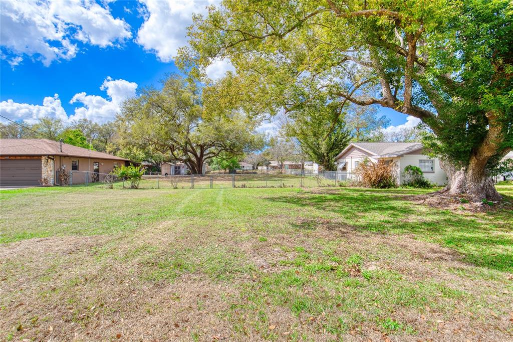 A grassy backyard features a chain-link fence, large mature trees, and two neighboring houses — 0 LOIS DRIVE, TAVARES, FL