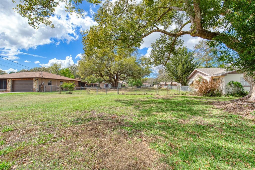 A grassy backyard features a chain-link fence, large mature trees, and neighboring residential houses — 0 LOIS DRIVE, TAVARES, FL