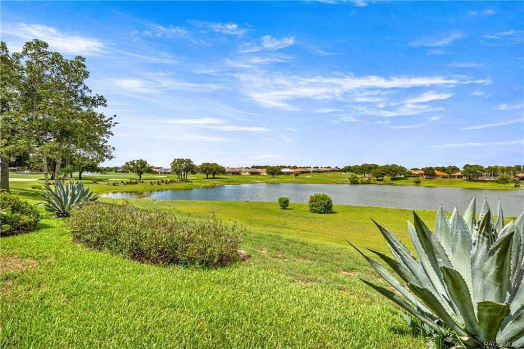 A view of a grassy lawn, a pond, and distant houses under a blue sky — 1328 W DIAMOND SHORE LOOP, HERNANDO, FL