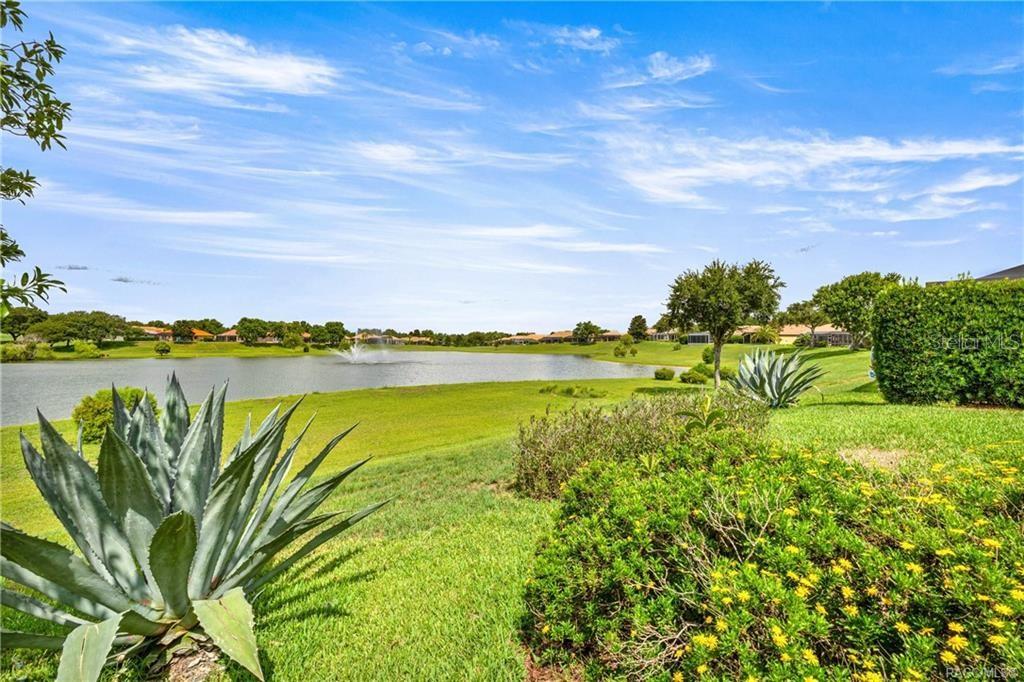 A view of a grassy lawn, a pond with a fountain, and distant residential homes — 1328 W DIAMOND SHORE LOOP, HERNANDO, FL