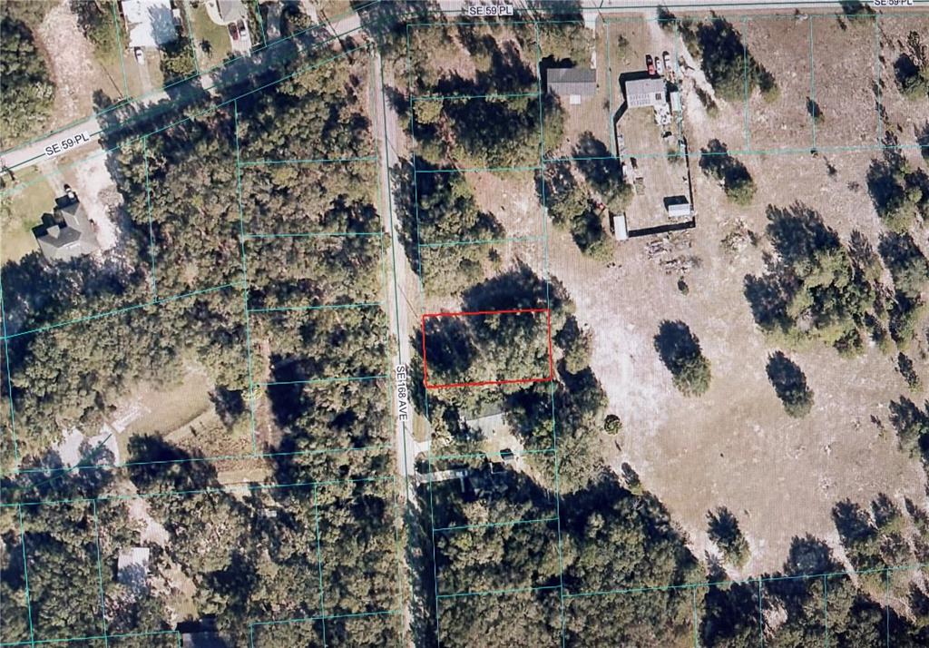 This is an aerial map showing a rectangular parcel of land outlined in red — 6181 SE 168TH AVENUE, OCKLAWAHA, FL