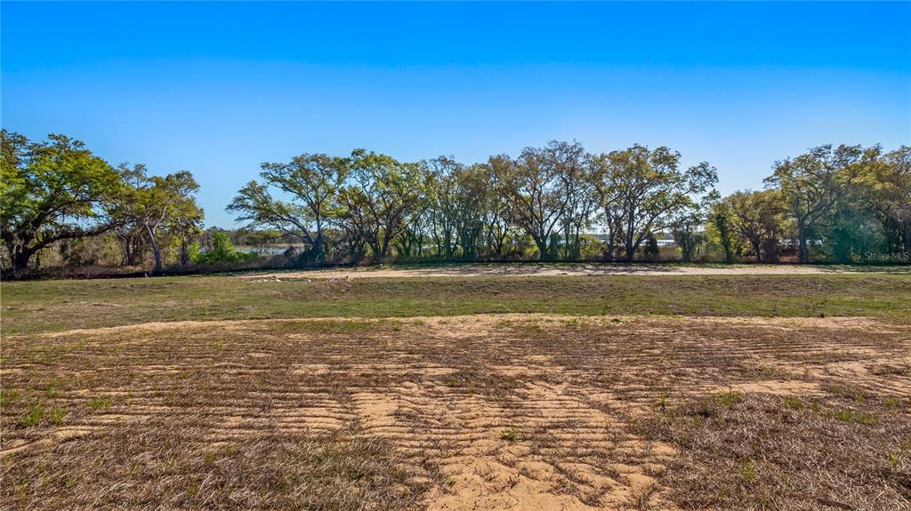 A large, flat, grassy lot with scattered trees under a clear blue sky — MARIGOLD BELLE CIRCLE, CLERMONT, FL