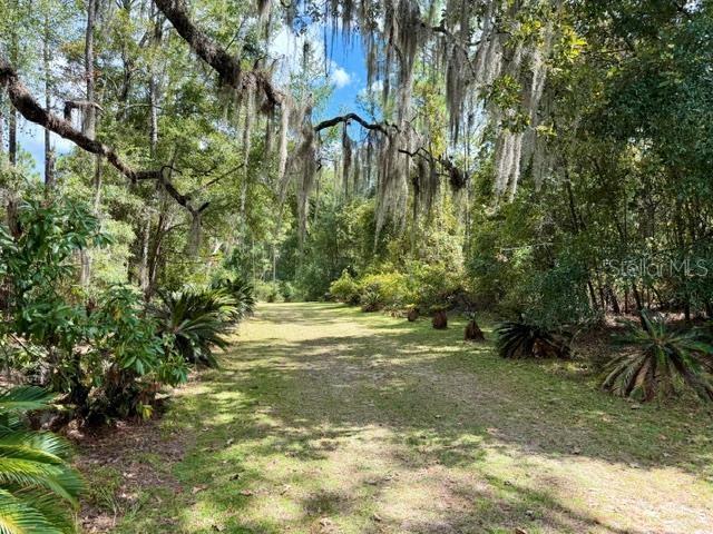 A grassy path leads through a wooded area with trees draped in Spanish moss — 4850 NW 55TH AVENUE, BELL, FL