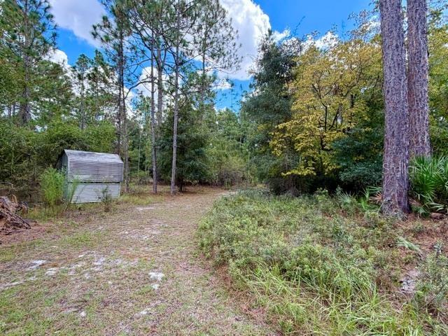 A small metal shed sits on a dirt path surrounded by trees and dense vegetation — 4850 NW 55TH AVENUE, BELL, FL