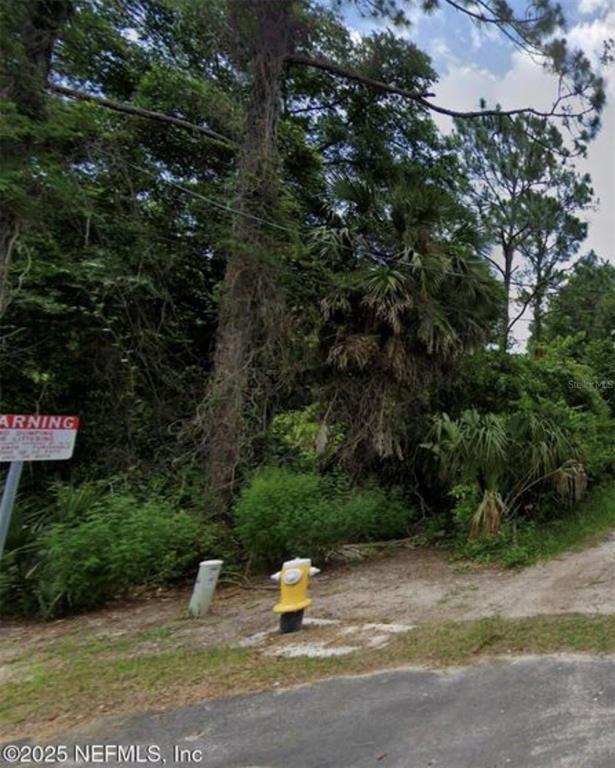 A yellow fire hydrant stands on a dirt patch next to a wooded area — 900 W 3RD STREET, ST AUGUSTINE, FL