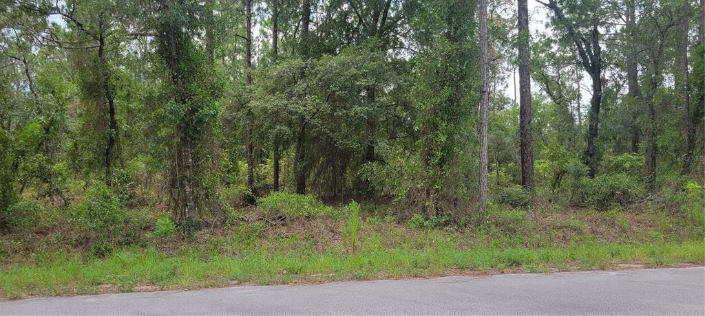 0 NW CHESTNUT AVENUE