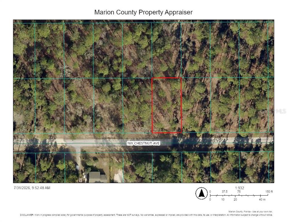 This is a property map showing a wooded lot outlined in red along a road — 0 NW CHESTNUT AVENUE, DUNNELLON, FL