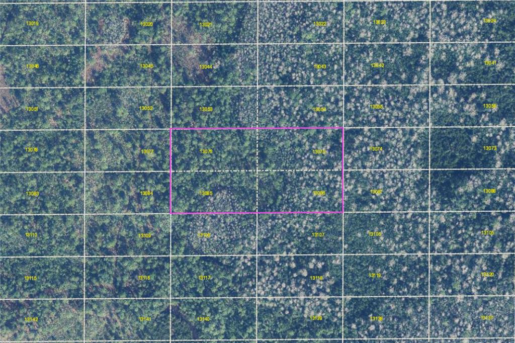 This is an aerial map showing a rectangular parcel of land highlighted in pink — DILL ROAD, ORLANDO, FL