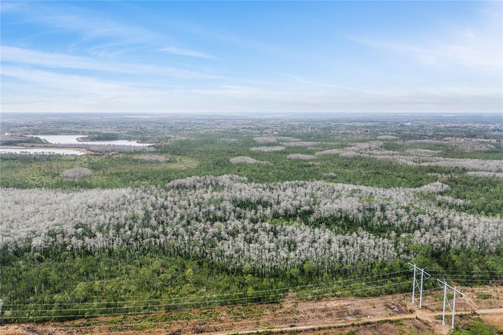 An aerial view shows a vast expanse of forest, wetlands, and power lines under a sky — DILL ROAD, ORLANDO, FL