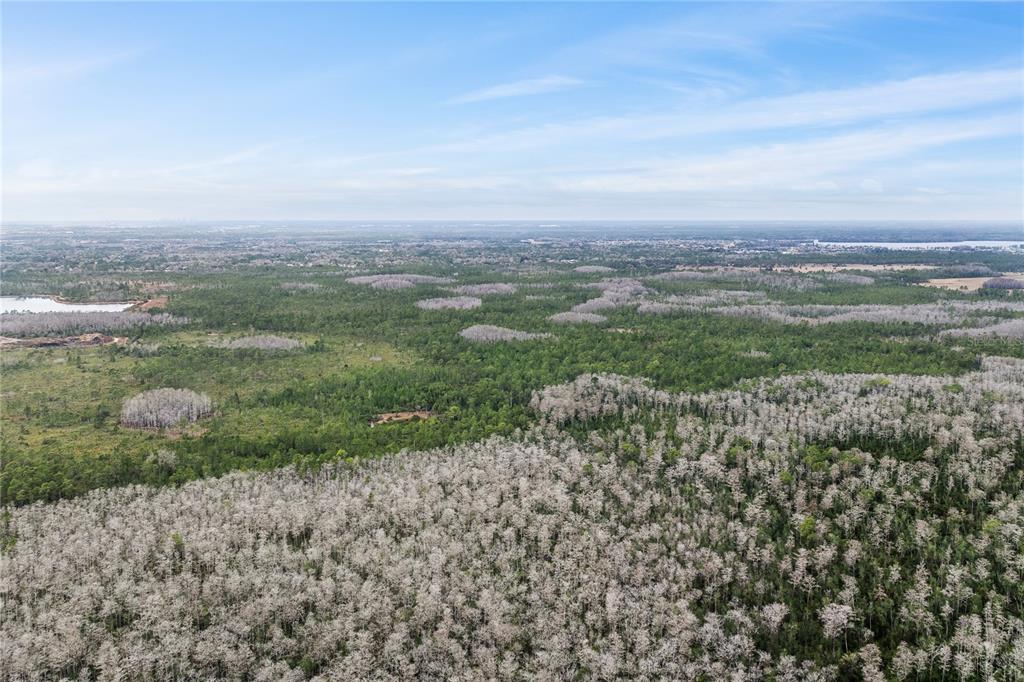 An aerial view shows a vast expanse of forest with patches of deciduous trees — DILL ROAD, ORLANDO, FL