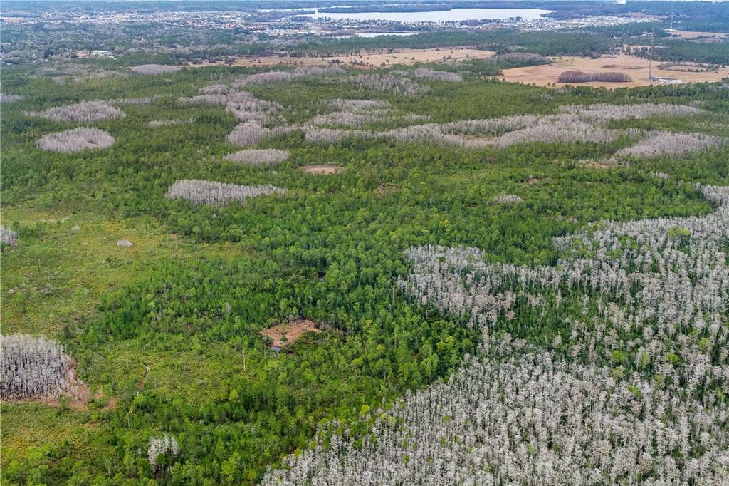 An aerial view shows a large, wooded landscape with patches of green trees and bare branches — DILL ROAD, ORLANDO, FL