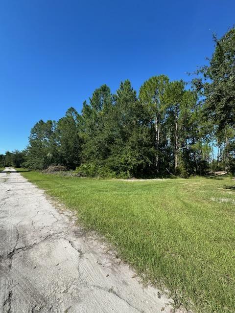 WOODLAND AVENUE, PAISLEY, FL — photo 2 of 4