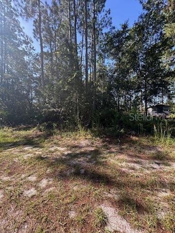 WOODLAND AVENUE, PAISLEY, FL — photo 3 of 4