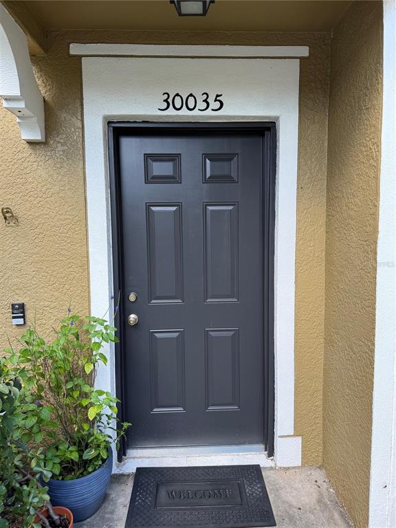 A dark gray front door with a white frame and a welcome mat sits outside — 30035 GRANDA HILLS COURT, WESLEY CHAPEL, FL