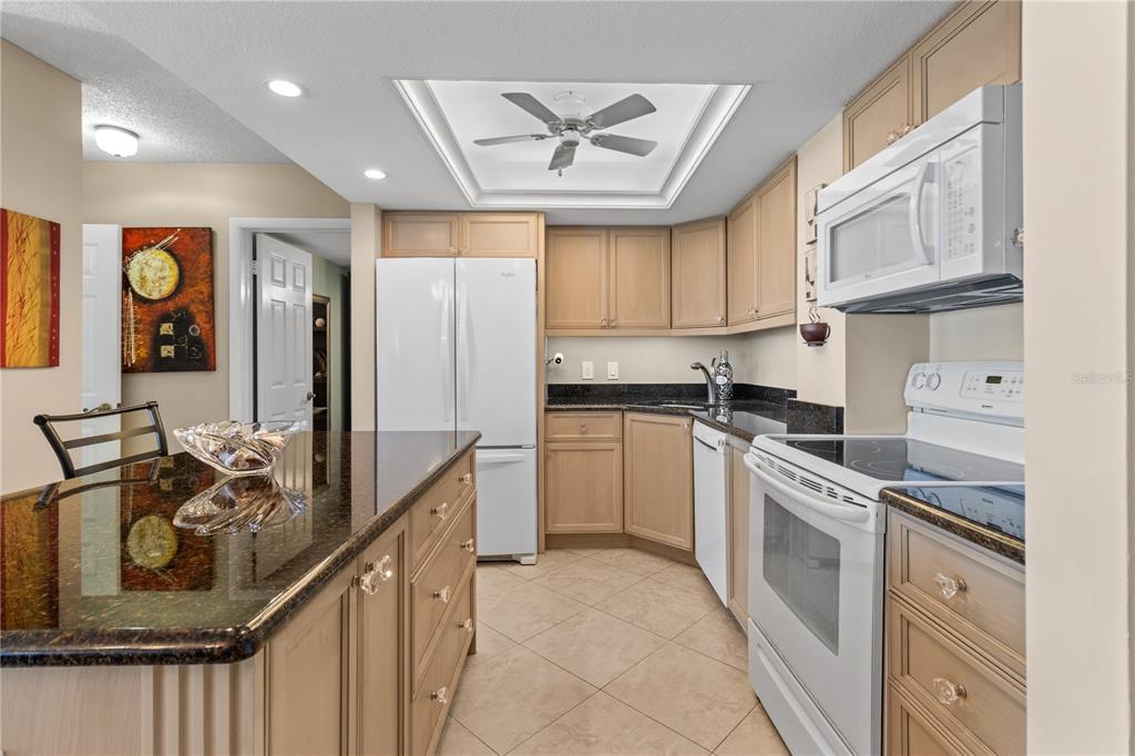 4900 BRITTANY DRIVE S UNIT 1512, ST PETERSBURG, FL — photo 5 of 30