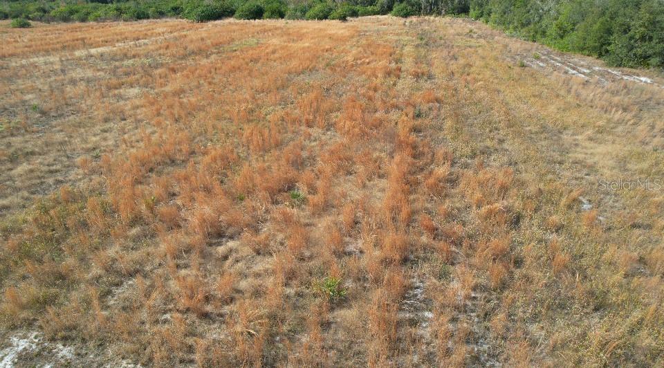 An aerial view of a large, flat, grassy field bordered by trees — 14451 SEMINOLE TRAIL, WIMAUMA, FL